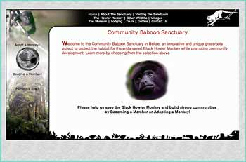 The Community Baboon Sanctuary is a pioneering project in voluntary grassroots conservation. The goal is to sustain the habitat of the Black Howler Monkey (called 'baboon' in the local Creole dialect) while promoting the economic development of the participating communities. The result has been an innovative project in sustainable ecotourism that protects the habitat for the endangered Black Howler Monkey and other species while offering a unique opportunity for visitors to experience the rainforest and witness Black Howler Monkeys in the wild.