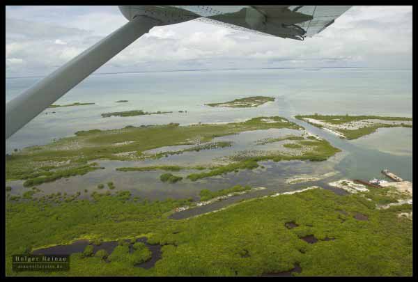 The caye's swamps, home to a million Moskitos - In diesen Smpfen wohnen die Millionen Moskitos