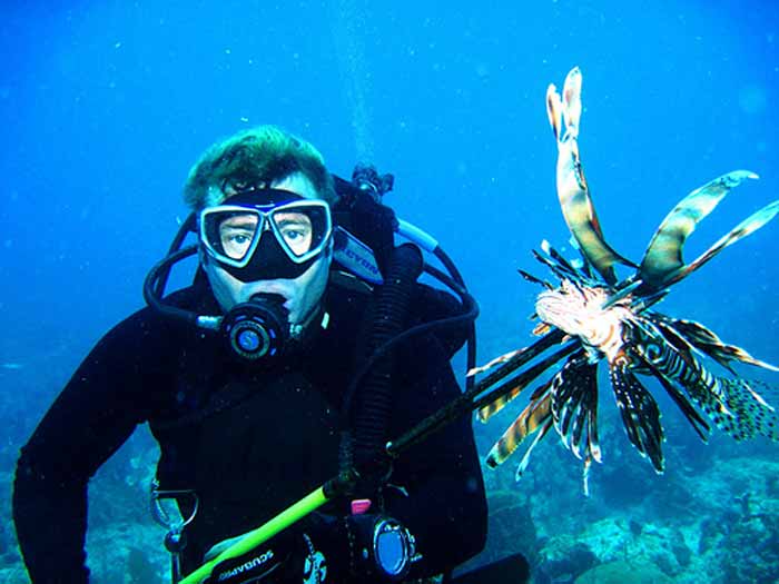 Speared lionfish by scuba diver