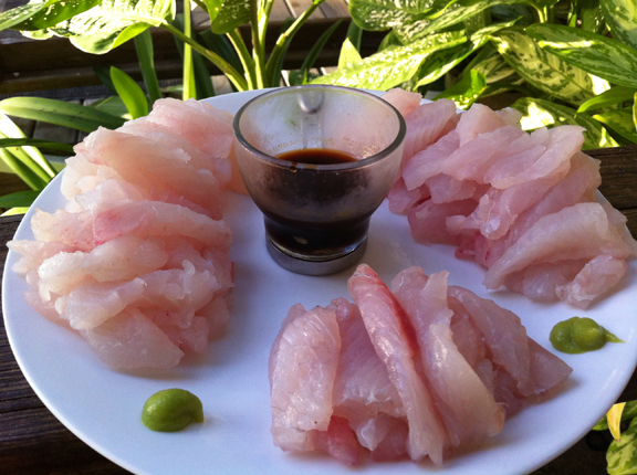 Lionfish sashimi