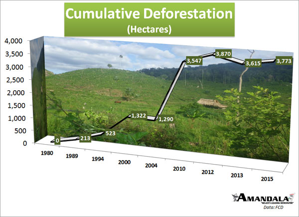 cumulative-deforestation