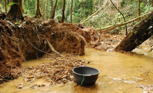 Illegal gold panning in Chiquibul waters