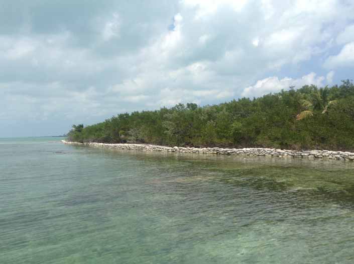 Dry-stacked limestone walls are being built around parts of Blackadore Caye to slow the erosion. After mangroves are planted and take hold, the walls can easily be removed.