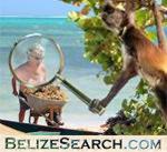 Search thousands of Belizean-only websites