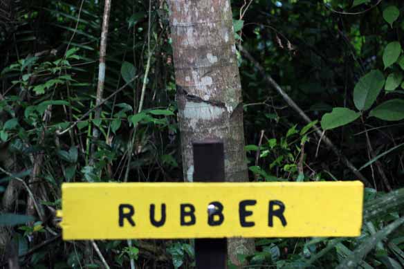 rubber1