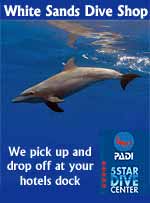 White Sands Dive Shop - 5 Star PADI Dive Facility - Daily diving, SCUBA instruction and Snorkeling