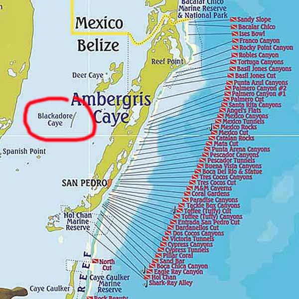 Leonardo Dicaprio Builds An Eco Resort Ambergris Caye