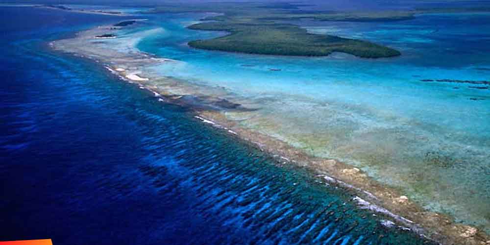 Great Barrier Reef - barrierreef3