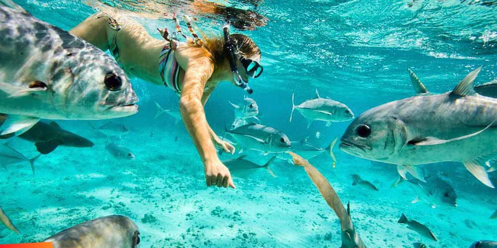 Dive Belize