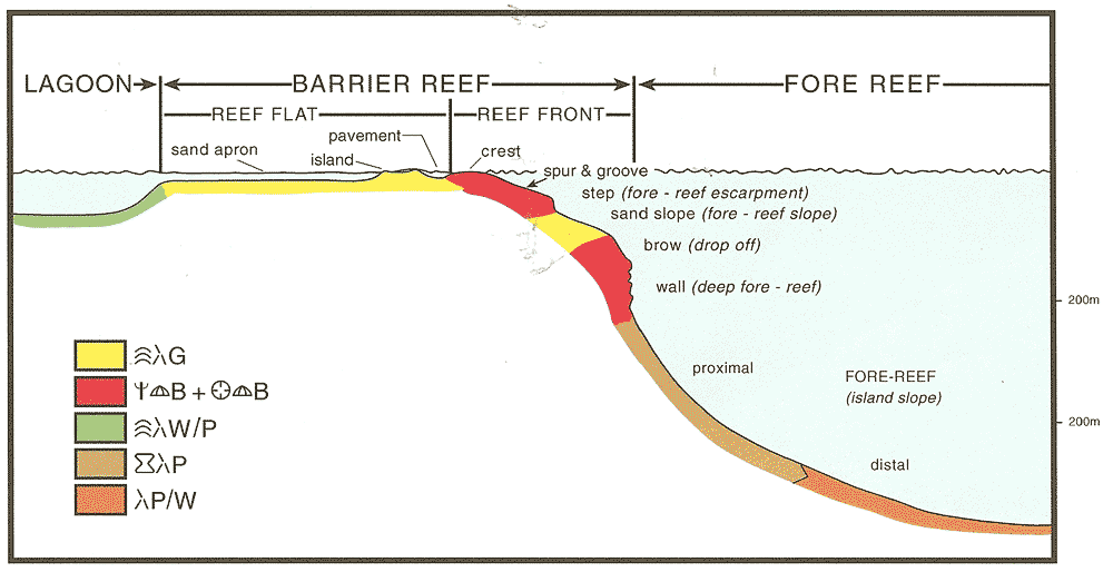 Map Of Belize Barrier Reef. of the Belize Barrier Reef