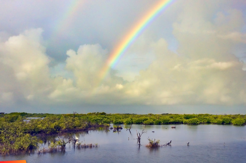 Rainbow on the lagoon side of north Ambergris Caye, July 10 2011