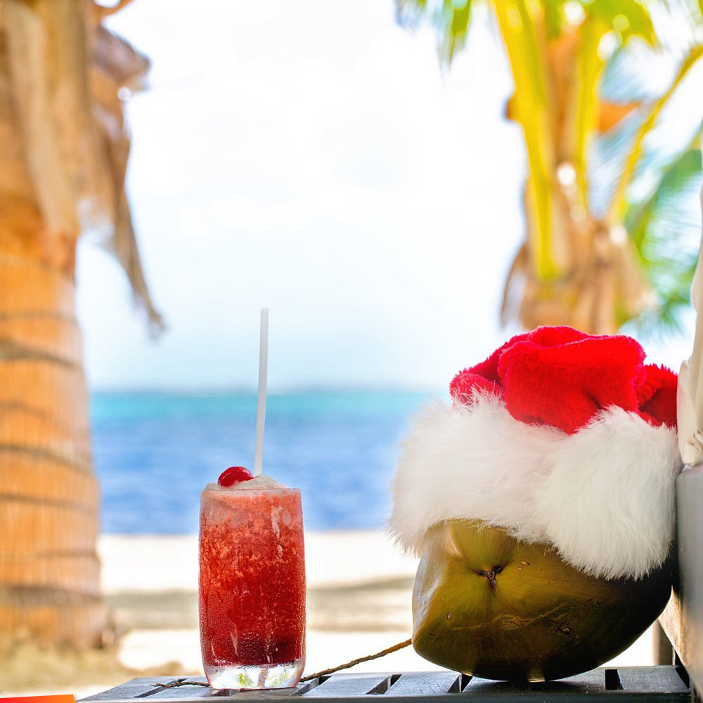 Coconut with a Santa hat, drink, and a view to the sea!