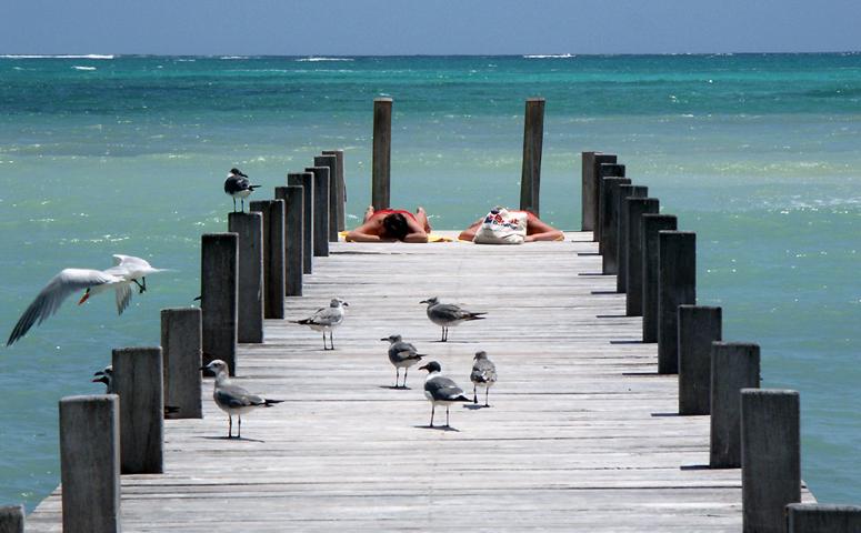 Birds and humans, coexisting together, kickin' it out on the dock