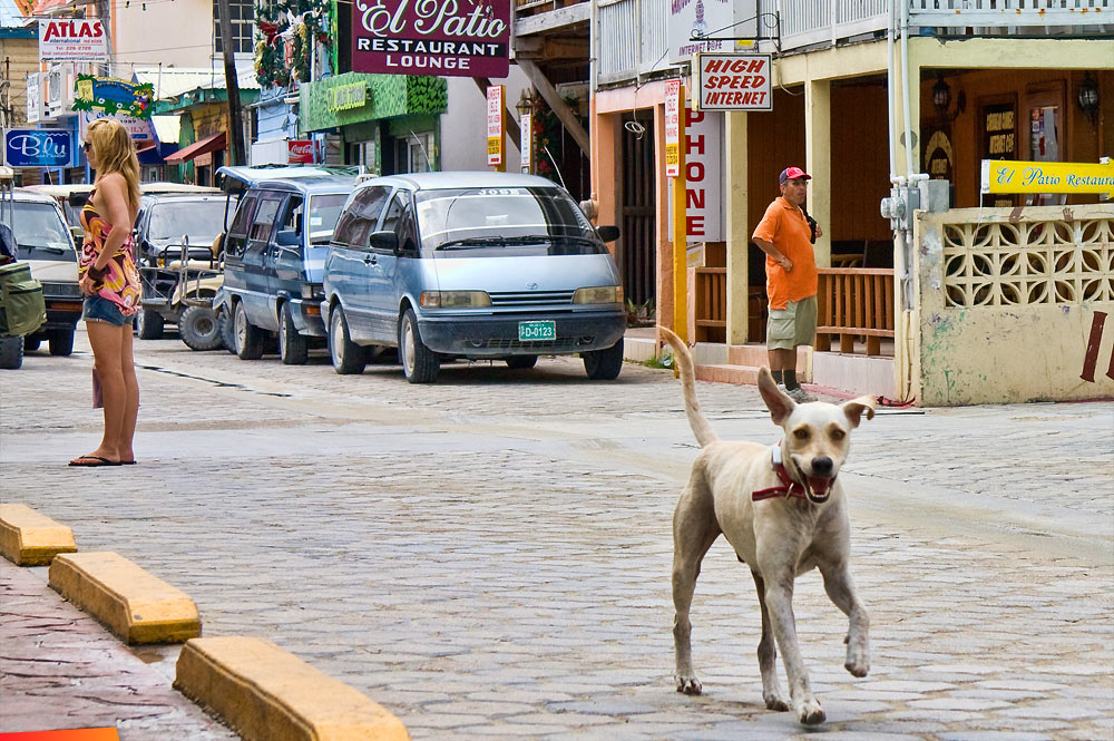 Street scene in San Pedro, happy doggie!