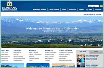 Montana State University is one of only 108 institutions - out of 4,600 - designated as very high research activity by the Carnegie Foundation for the Advancement of teaching. This means that MSU is among the top 2% of institutions nationwide in research which translates into significant opportunities for research, scholarship and creative work.