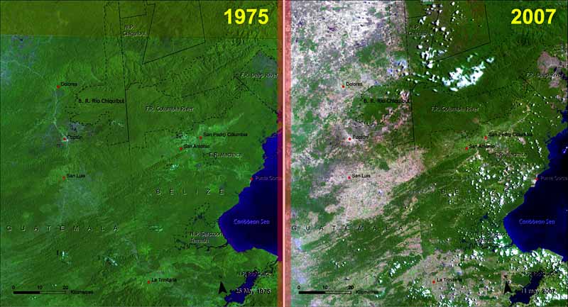 Figure 2.   Satellite images provided by NASA show the high landscape change between 1975 and 2007 on the Guatemala-Belize border. Source: UNEP, CATHALAC.