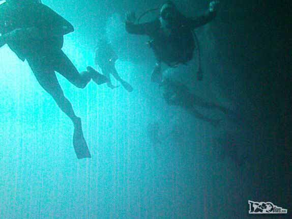 Muitos mergulhadores no Blue Hole, na grande barreira de corais de Belize