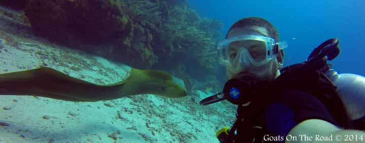 Eel Dive Ambergris Caye