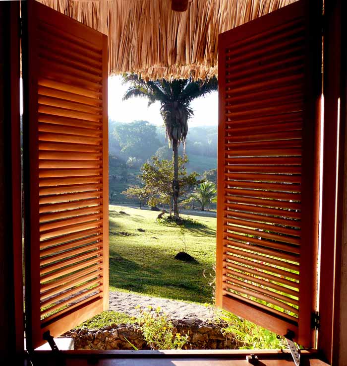 belize jungle lodge cabana view (2)