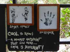 Monkey sign at zoo