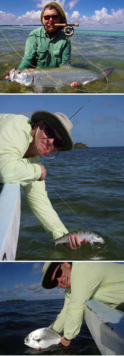 ladyfish  Bonefish on the Brain