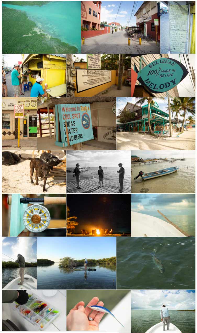 Ambergris Caye Belize Message Board