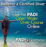 Click for excellent scuba lessons with Elbert Greer!