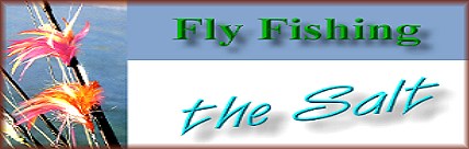 Welcome to Salt Water Fly Fishing
