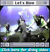 Click here for a diving movie clip