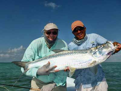 Mid Winter Fishing Report: Rouge Tarpon, Grouper, Snook Fishing - The  Intrepid Angler