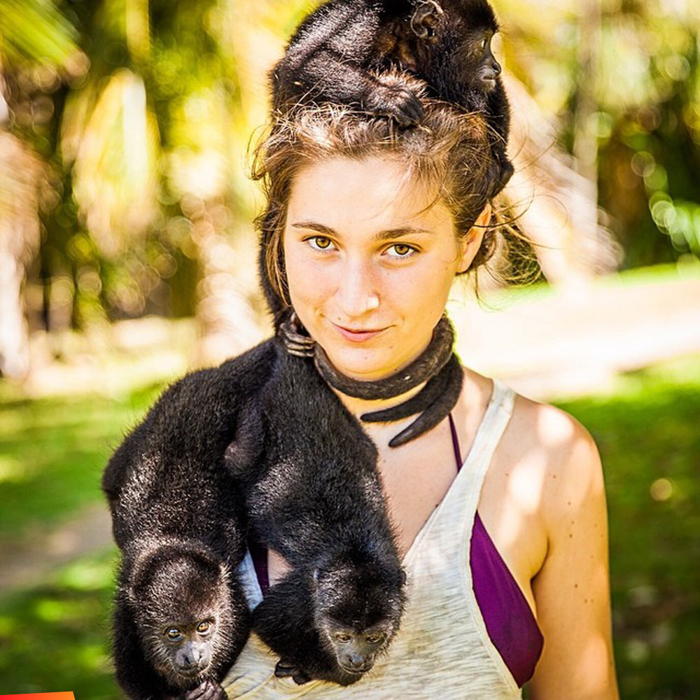 Now this is real high fashion. Young orphaned howler monkeys and keeper