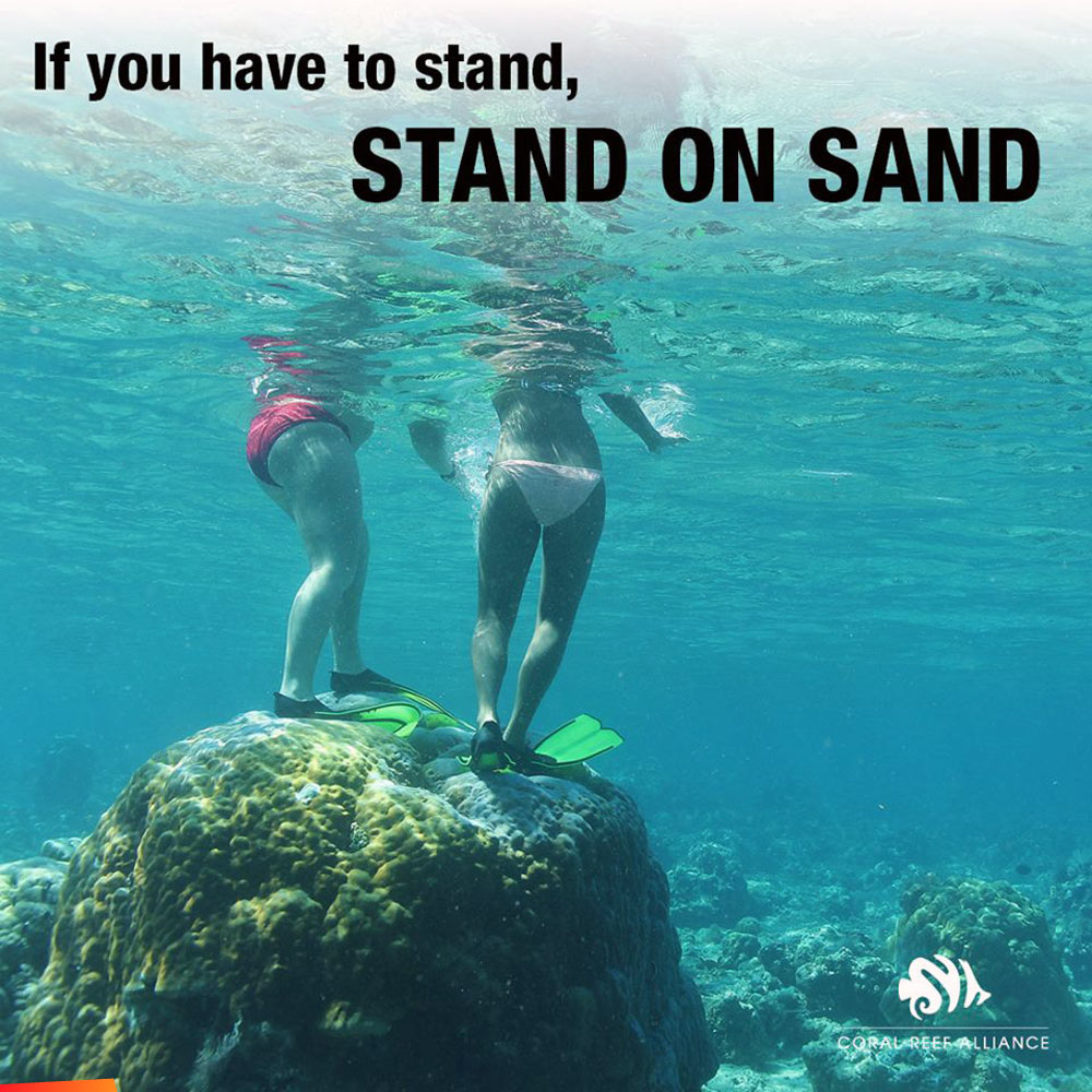 Don't stand on coral: If you have to stand, stand on sand!