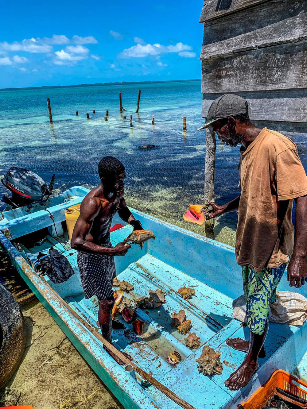 Two fishermen and the conch they caught