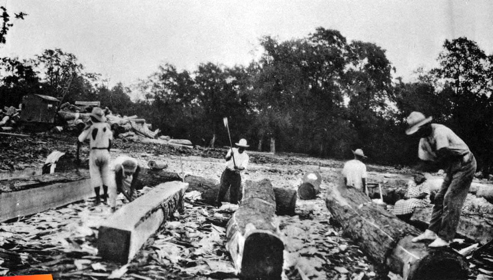 Mahogany loggers squaring mahogany in Belize, around 1930