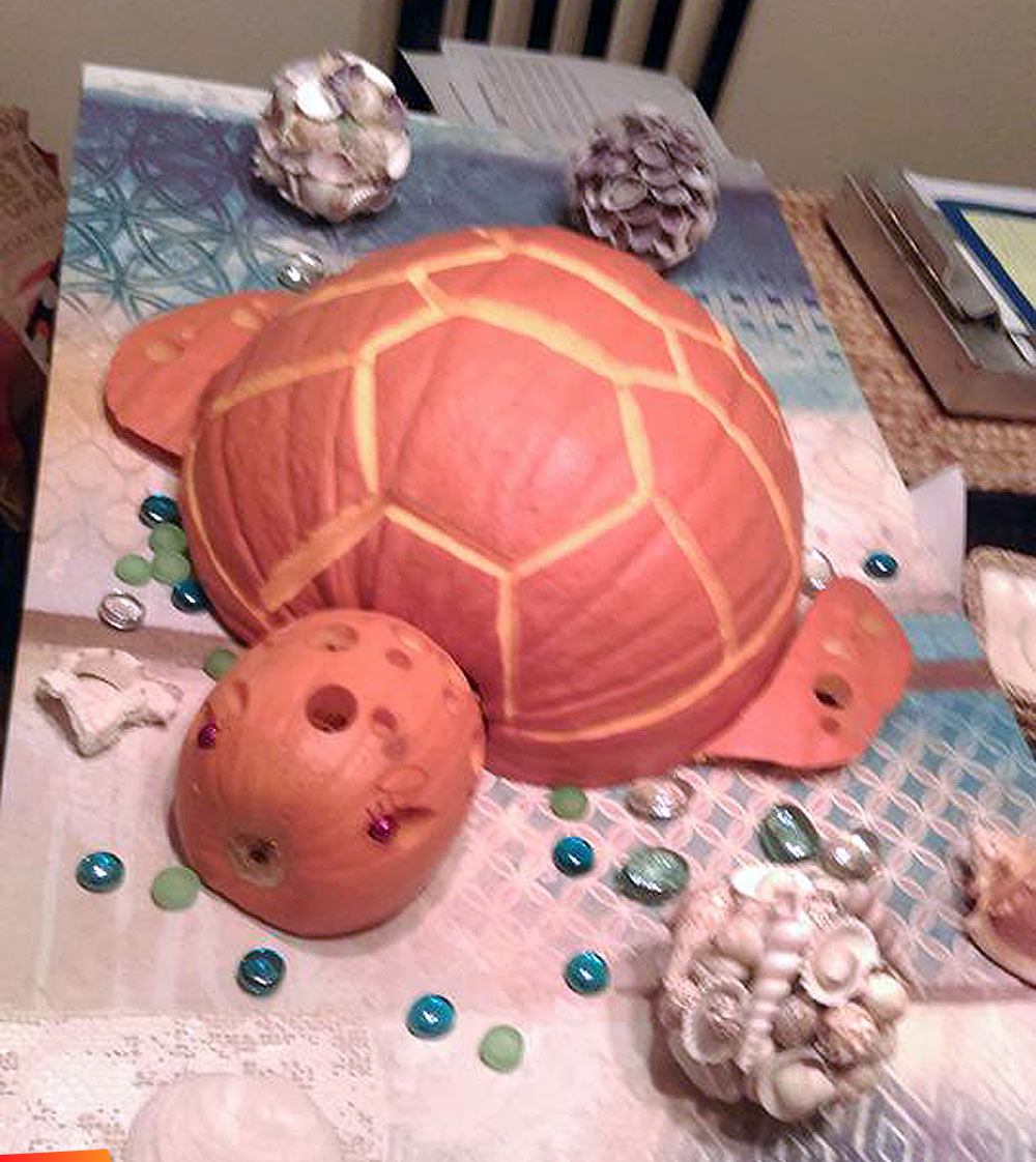 Pumpkin Sea turtle