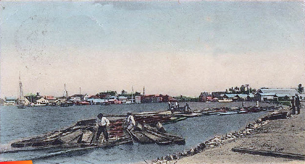 Mahogany rafts, Belize Harbour 1908