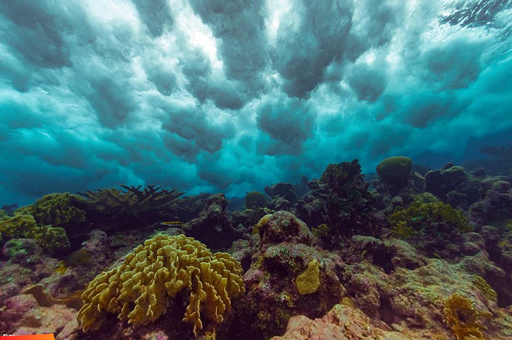 Beautiful underwater view of the Belize Barrier Reef, a World Heritage Site