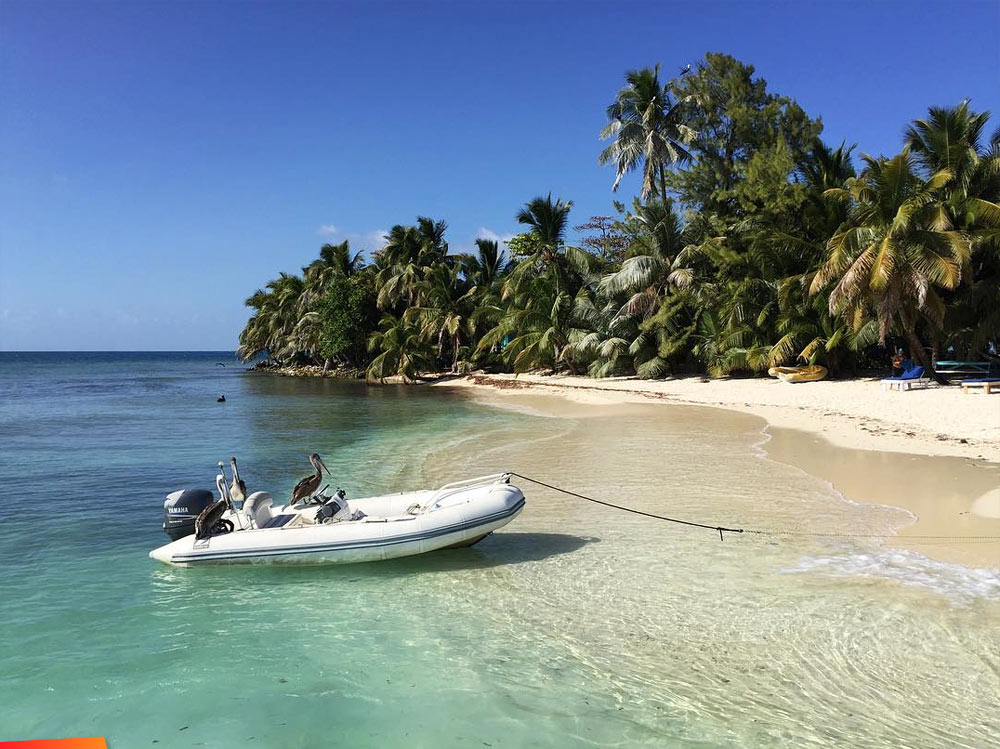 Pelicans take over the boat on Ranguana Caye