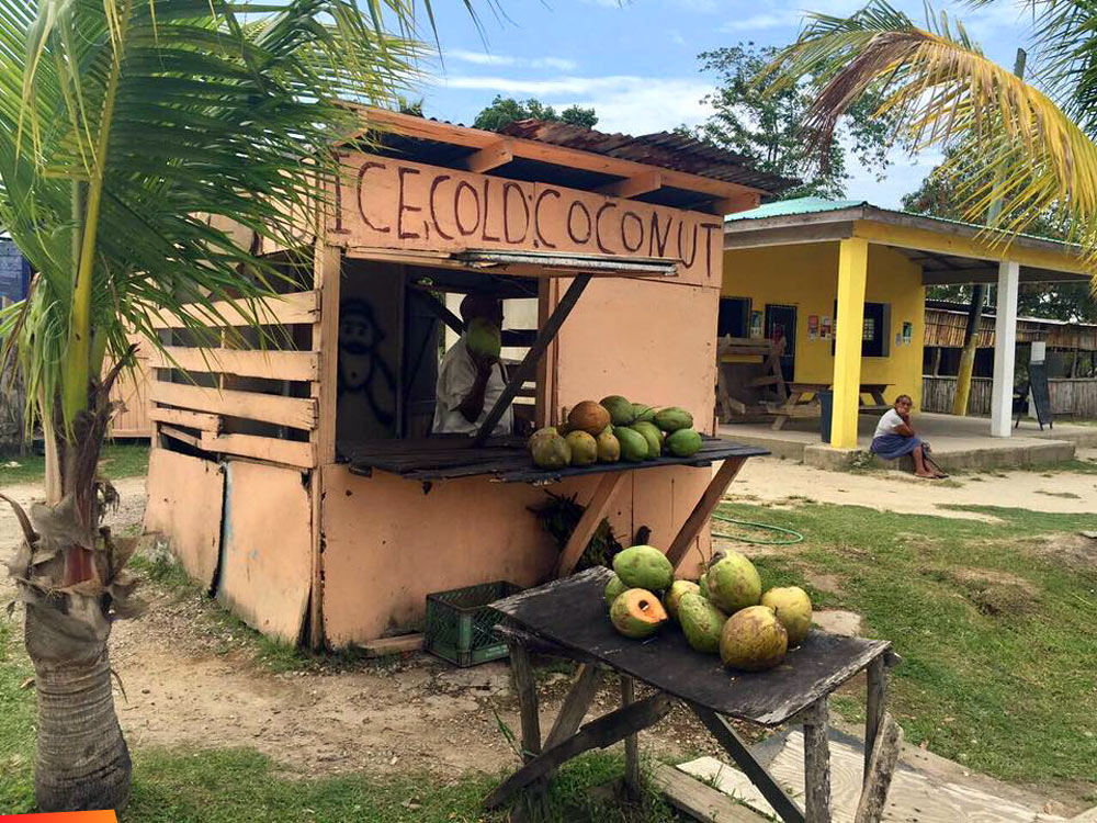 It's hot out! Perfect time for an ice cold coconut at the coconut stand!