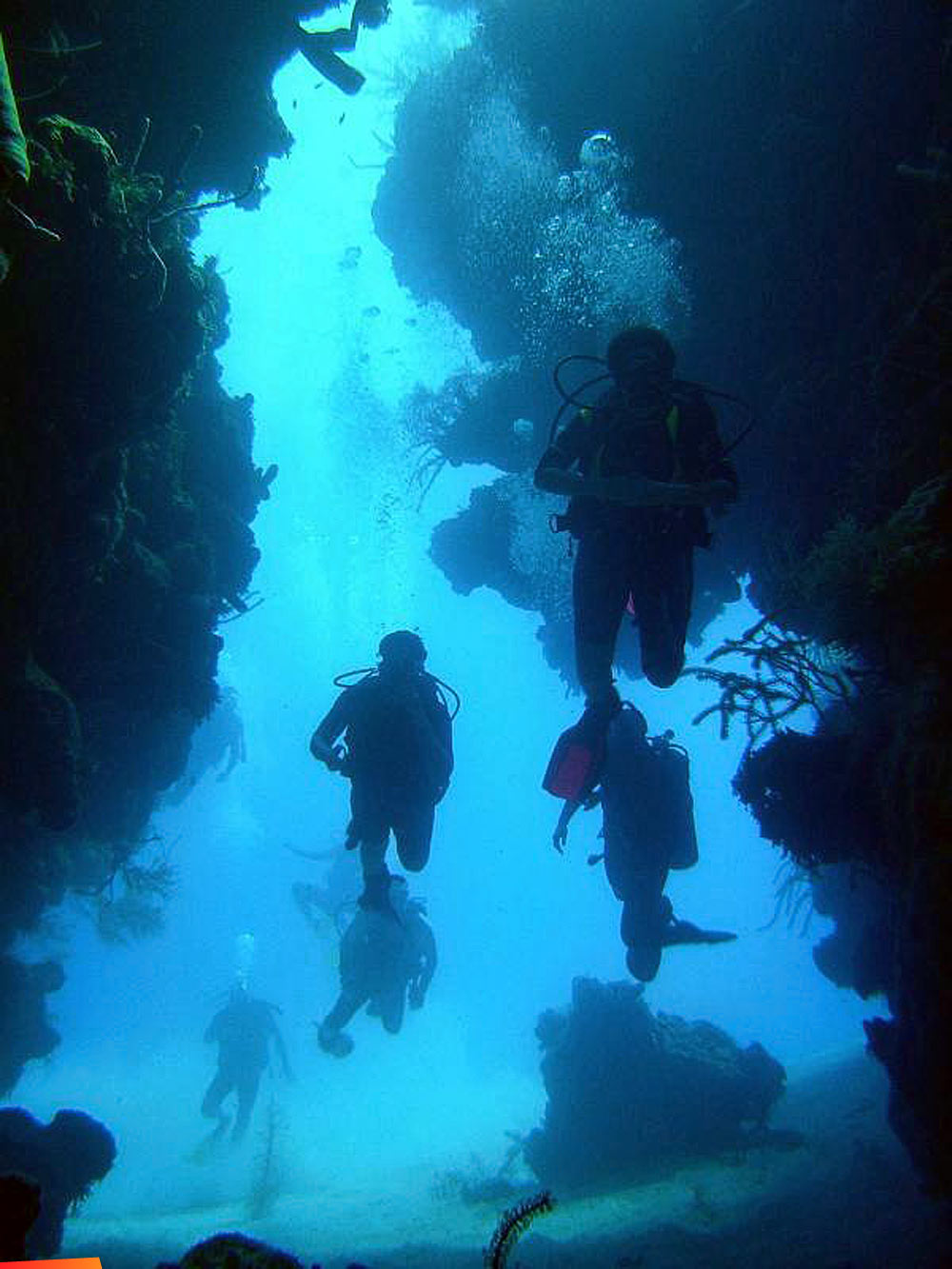 Group of divers enter a cave....