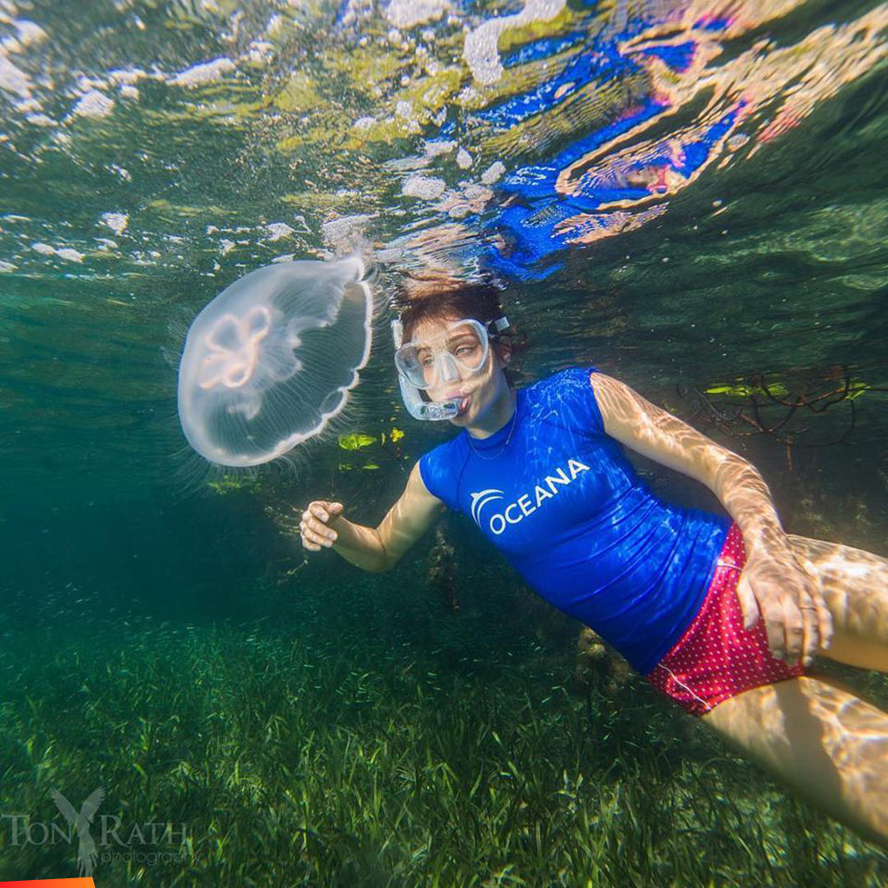 Snorkeler with moon jellyfish (and yes that is Cobie Smulders)