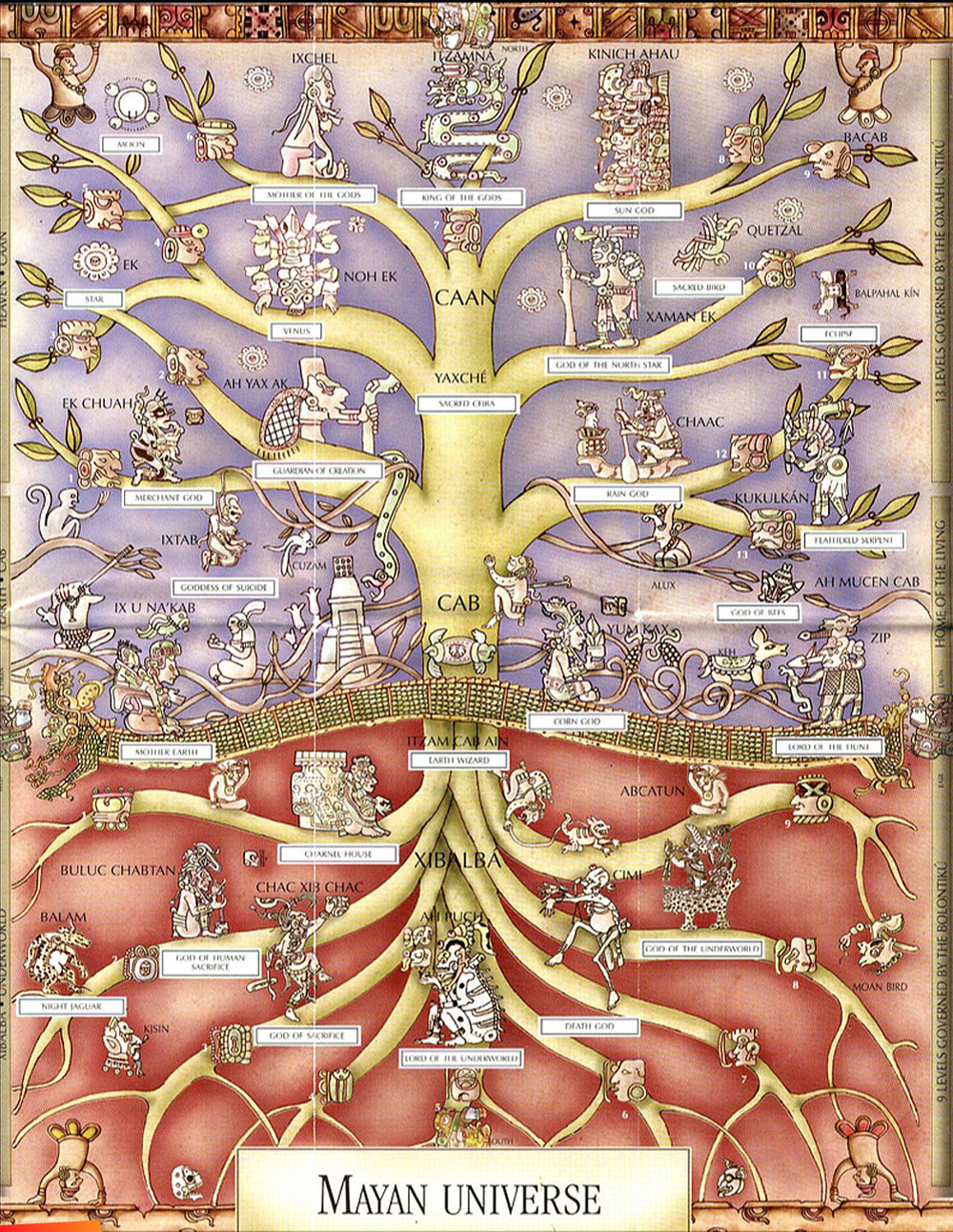 The Maya Universe, Tree of Life, Upper and lower worlds