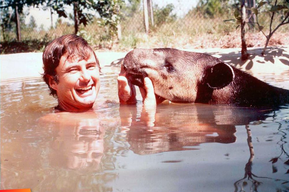 Richard Foster swimming with a tapir, long ago