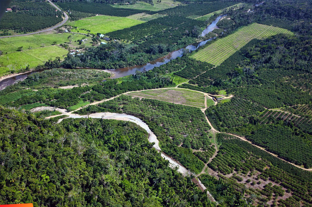 This is an aerial view of what surrounds the Caves Branch River.
