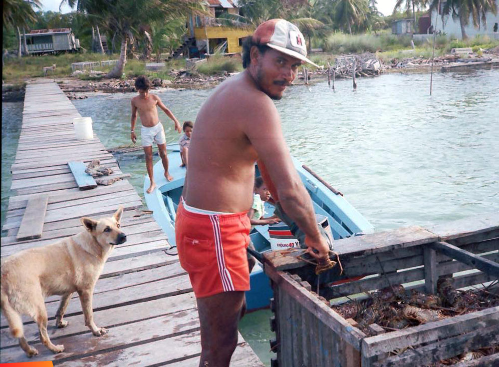 Reuben Reyes on a pier with a load of lobsters, 1985 on Caye Caulker