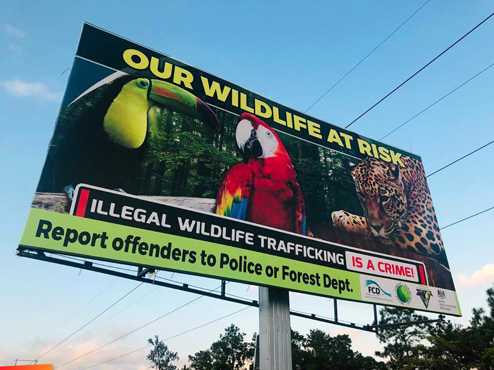 Billboard Our Wildlife at Risk, Illegal wildlife trafficking is a CRIME!