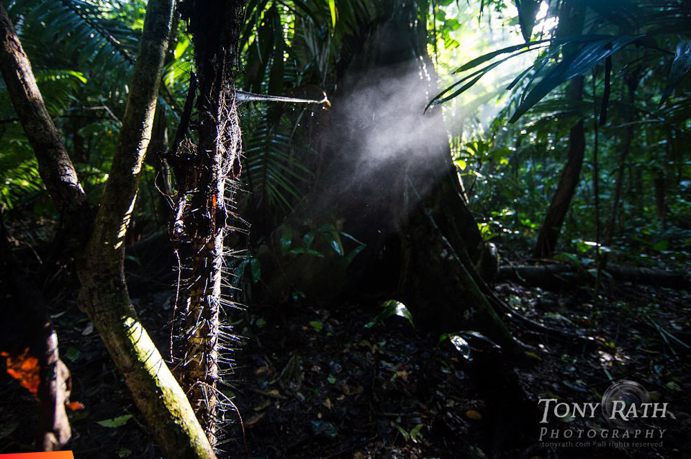 20 Things About Photography Expeditions in the Tropics I Learned All Over Again