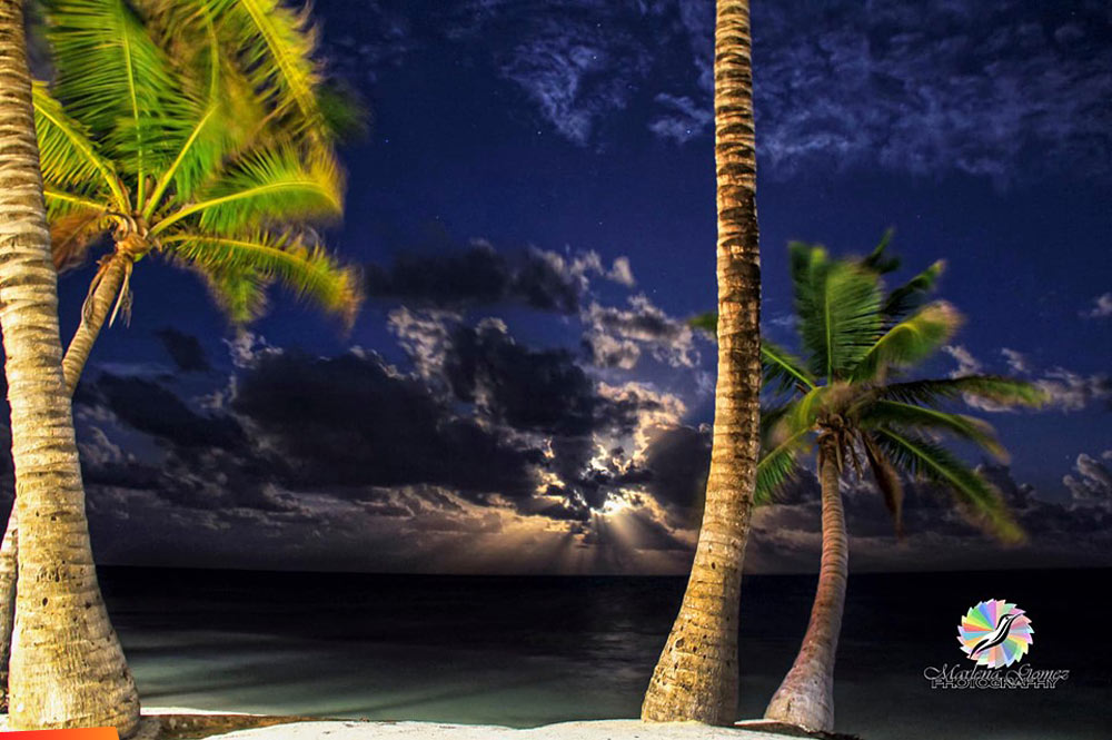 Tropical Night, view to the sea and the moon