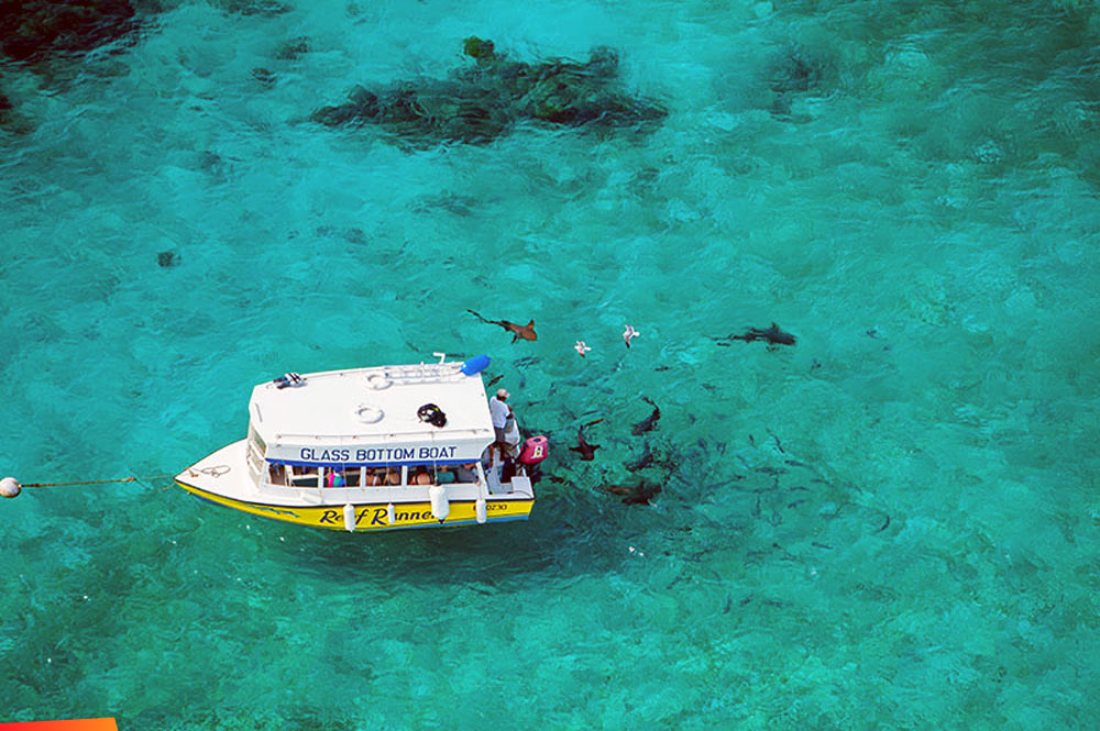 Aerial view of the Reef Runner, a glass bottom boat