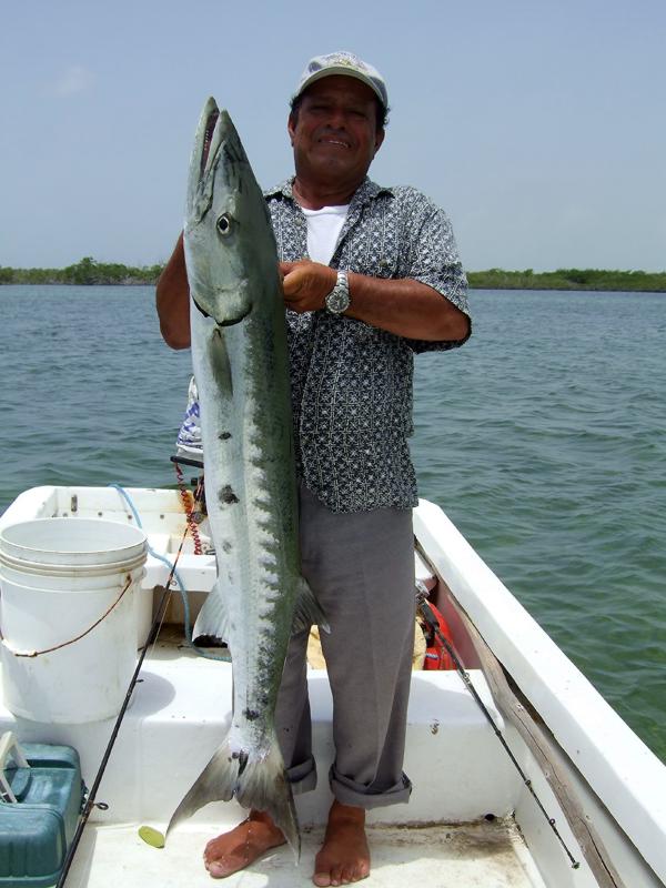 Will Nunez and a San Pedrano friend caught this Barracuda in the Lagoon